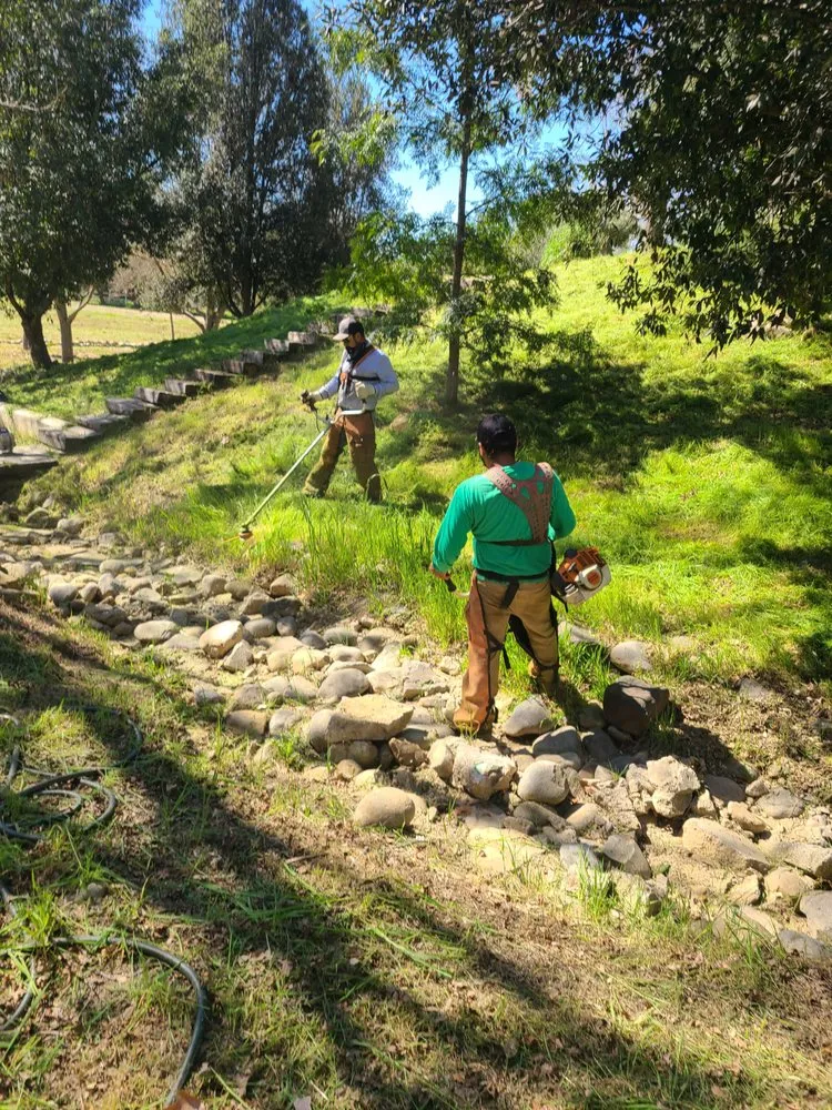 Top-rated landscape design with custom design across Santa Paula, CA - Ramirez Landscape Services