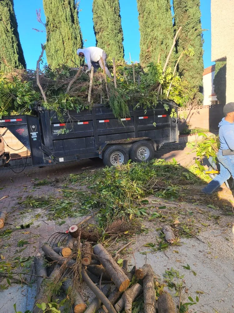 Custom outdoor landscaping in Santa Paula, CA by Ramirez Landscape Services
