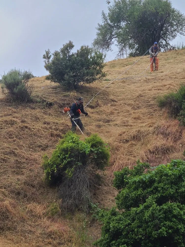 Professional residential landscaping in Santa Paula, CA by Ramirez Landscape Services