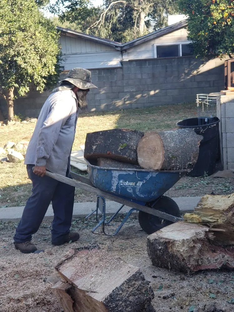 Affordable garden landscaping near you in Santa Paula, CA by Ramirez Landscape Services