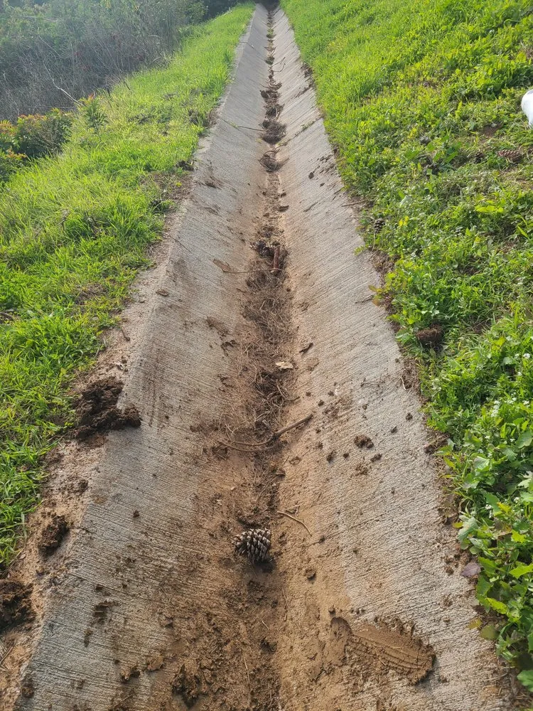 Trusted outdoor landscaping for beautiful yards in Santa Paula, CA by Ramirez Landscape Services