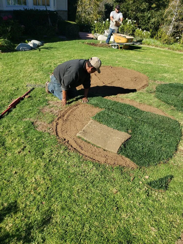 Affordable yard cleanup service in Santa Paula, CA by Ramirez Landscape Services