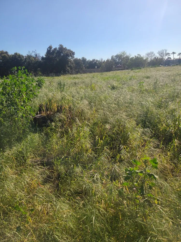 Affordable landscape installation experts serving Santa Paula, CA - Ramirez Landscape Services