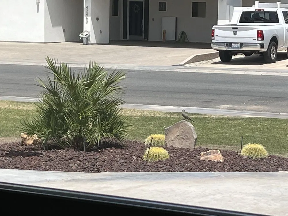 Custom yard cleanup service with custom design in Thousand Palms, CA by Ramirez Landscape