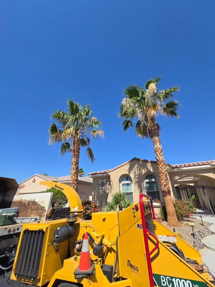 Top-rated yard maintenance for beautiful yards in Thousand Palms, CA by Ramirez Landscape