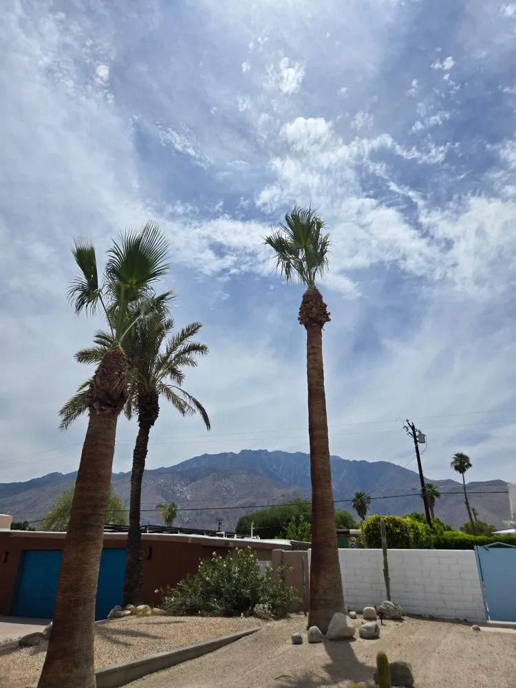 Professional lawn mowing service experts serving Thousand Palms, CA - Ramirez Landscape