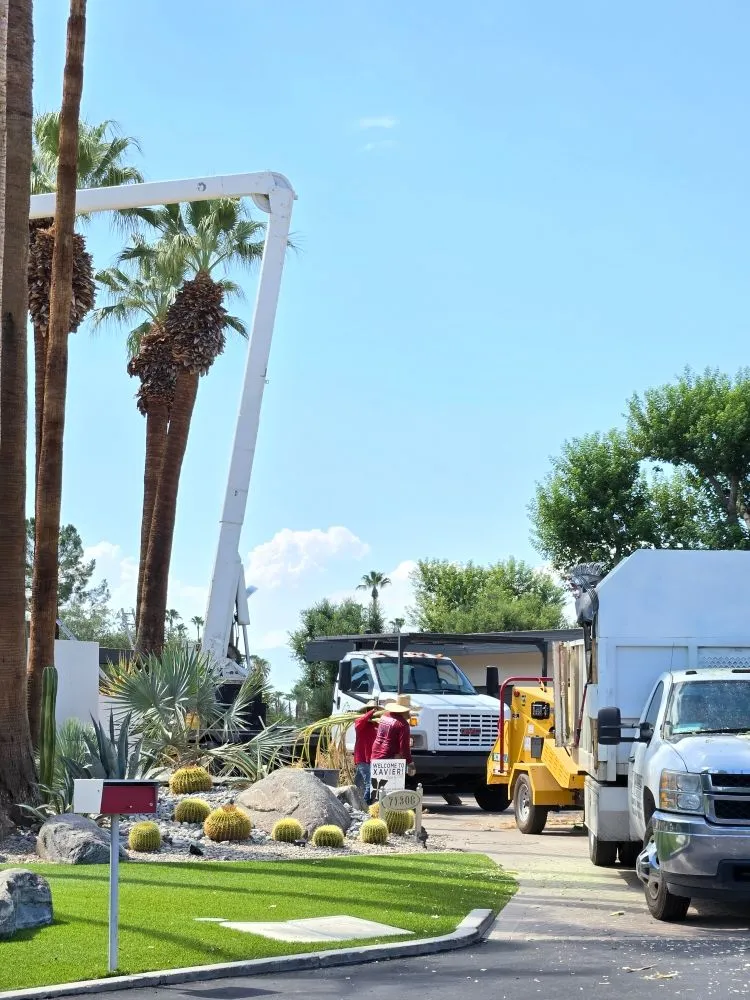 Affordable landscape installation in Thousand Palms, CA by Ramirez Landscape