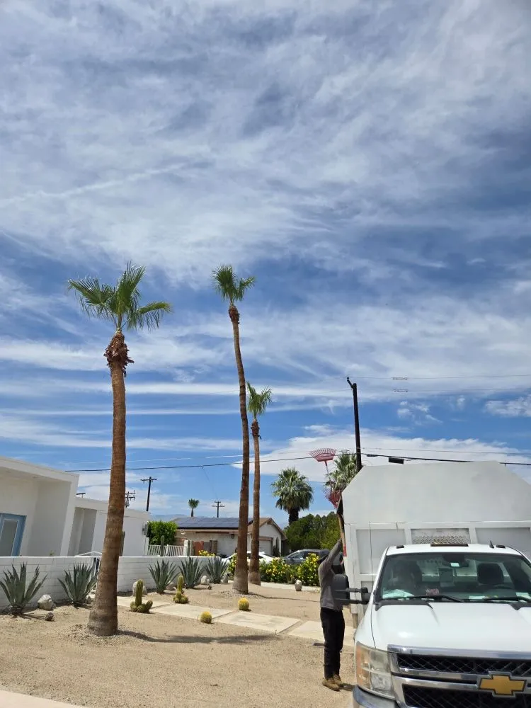 Professional outdoor landscaping in Thousand Palms, CA - Ramirez Landscape