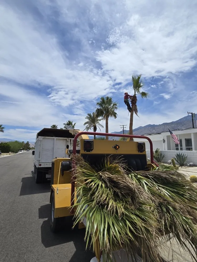 Expert lawn care service experts serving Thousand Palms, CA - Ramirez Landscape