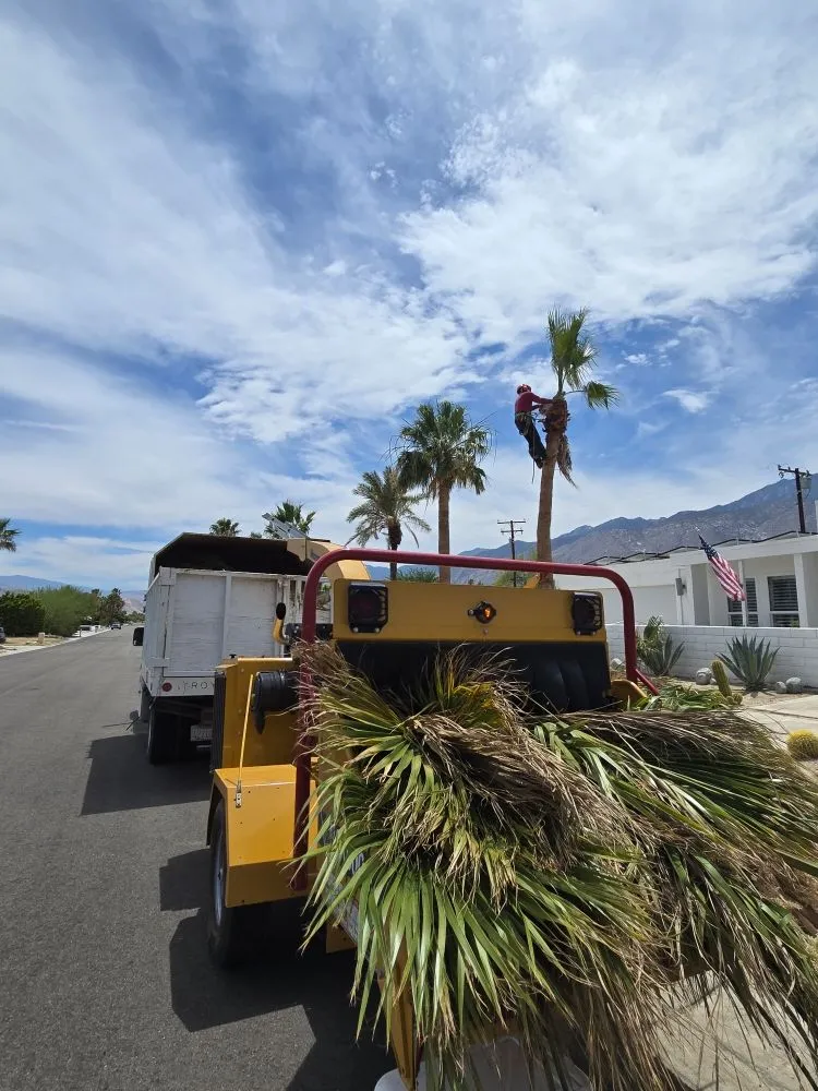 Reliable yard maintenance experts serving Thousand Palms, CA - Ramirez Landscape