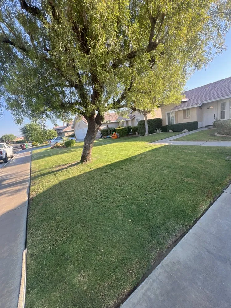 Reliable lawn mowing service in Thousand Palms, CA - Ramirez Landscape