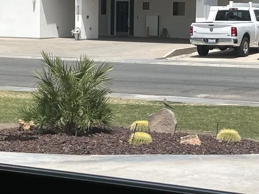 Ramirez Landscape Logo