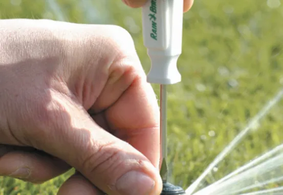 Professional landscape installation in Encinitas, CA - Ramirez Landscapes