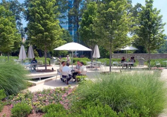 Affordable yard cleanup service in Encinitas, CA by Ramirez Landscapes