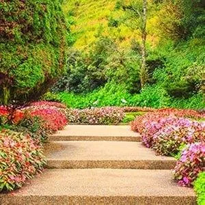 Affordable landscape design for year-round maintenance in Lexington, KY by Ramirez Landscaping & Lawn Care