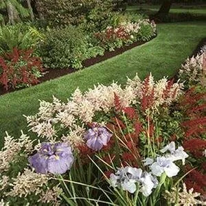 Affordable lawn mowing service experts serving Lexington, KY - Ramirez Landscaping & Lawn Care