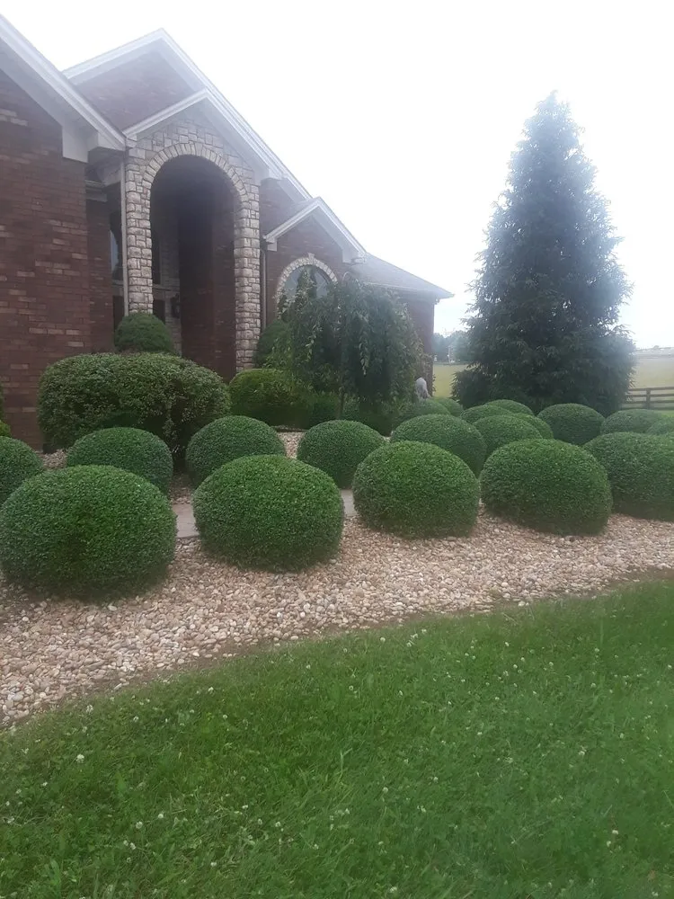 Affordable lawn care service in Lexington, KY by Ramirez Landscaping & Lawn Care