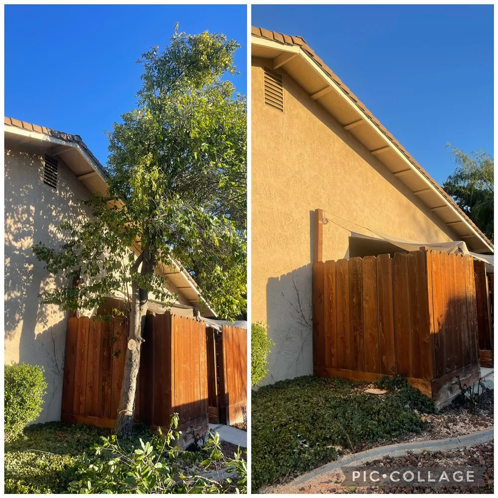 Reliable yard cleanup service for year-round maintenance across Modesto, CA - Ramirez Landscaping & Maintenance Service