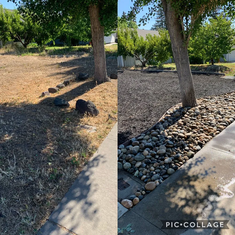 Professional landscaping services in Modesto, CA by Ramirez Landscaping & Maintenance Service