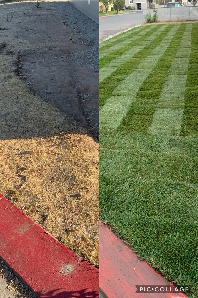 Local yard cleanup service for residential properties across Modesto, CA - Ramirez Landscaping & Maintenance Service