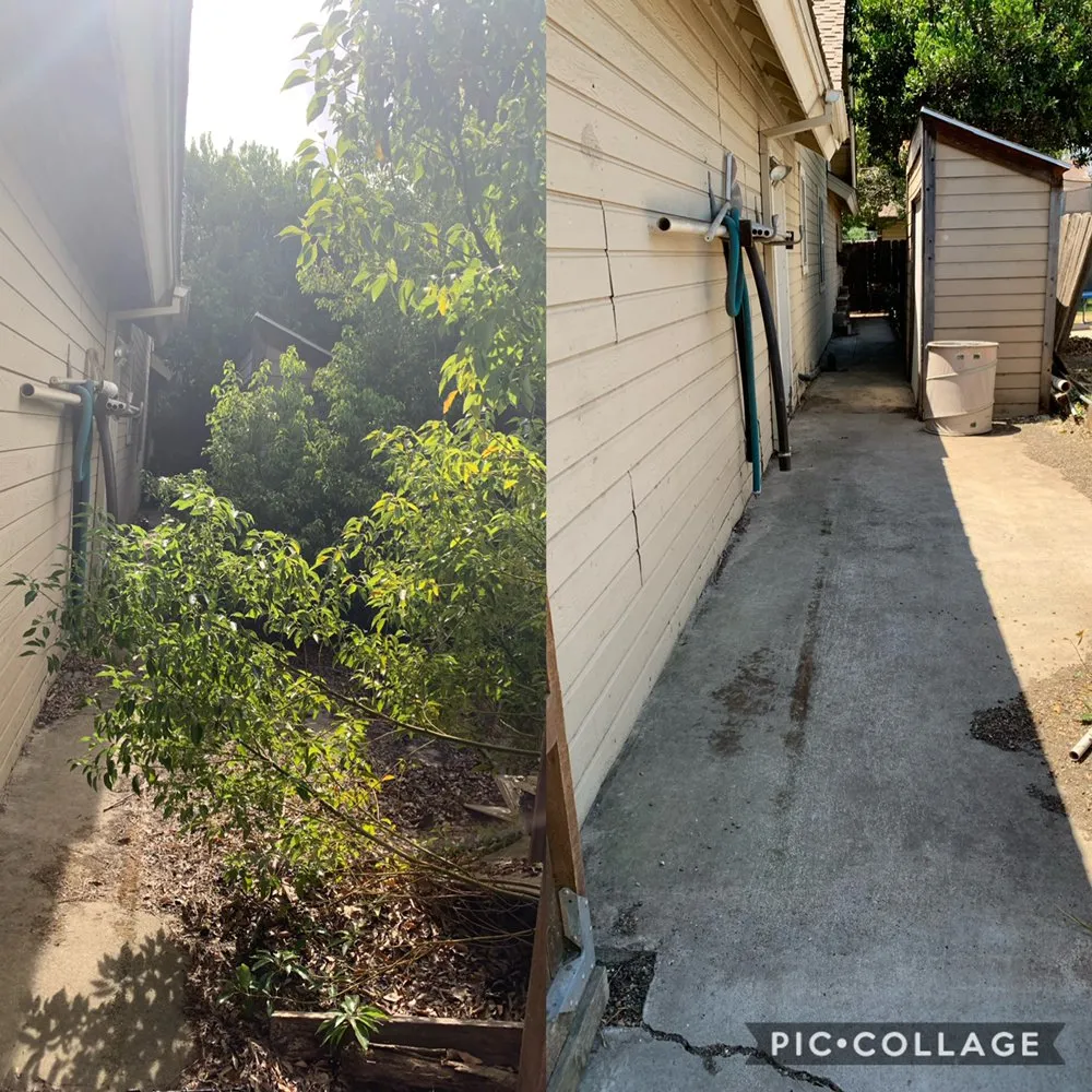 Professional landscape design experts serving Modesto, CA - Ramirez Landscaping & Maintenance Service