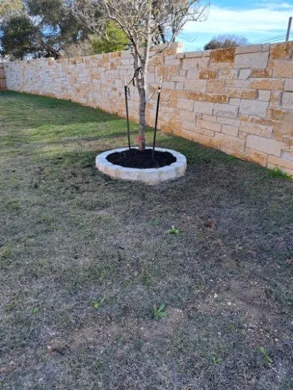 Professional yard maintenance in Alice, TX by Ramirez Landscaping & More