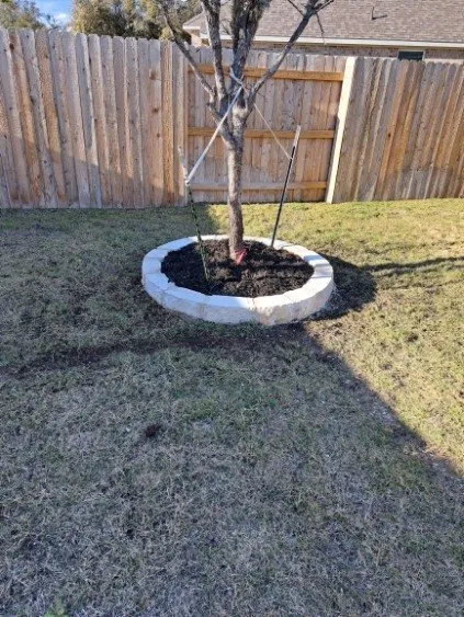 Reliable yard cleanup service experts serving Alice, TX - Ramirez Landscaping & More