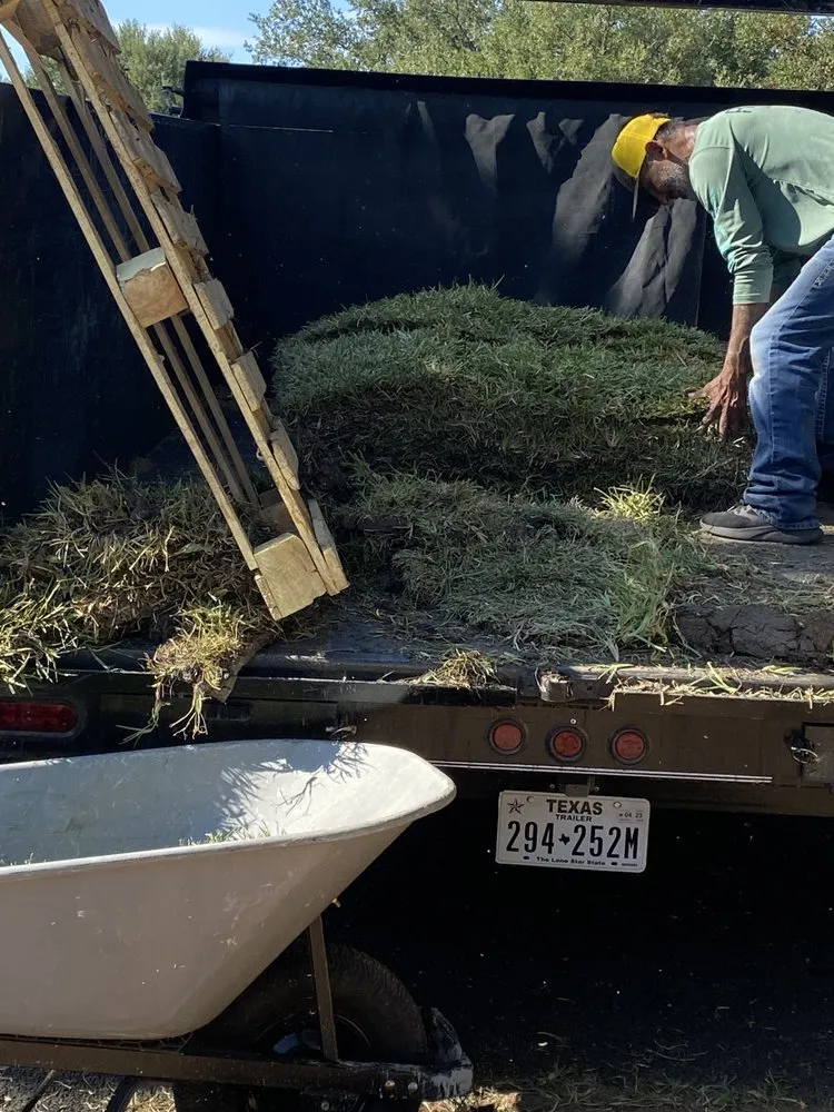 Reliable landscaping services in Buda, TX by Ramirez Landscaping & More