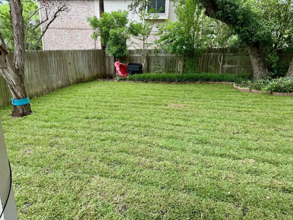 Custom lawn mowing service experts serving Buda, TX - Ramirez Landscaping & More