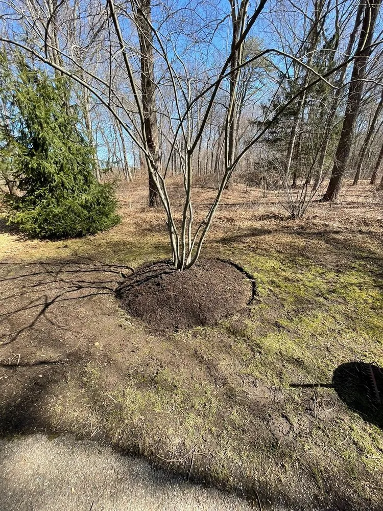 Professional landscape design in White Plains, NY by Ramirez Landscaping & Renovation