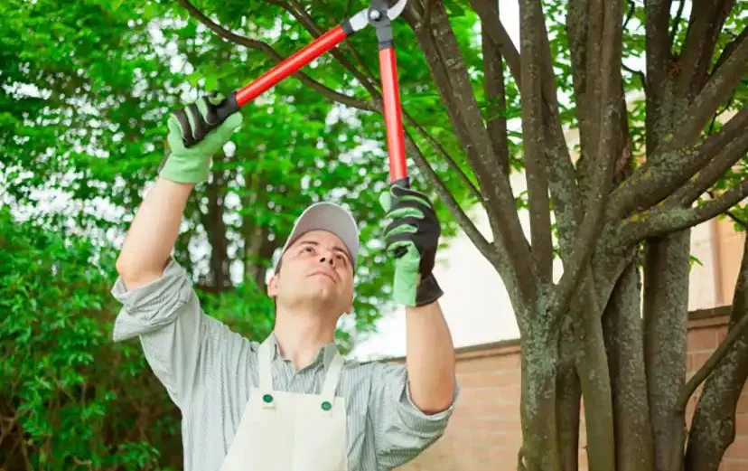 Custom landscape design in White Plains, NY by Ramirez Landscaping & Renovations