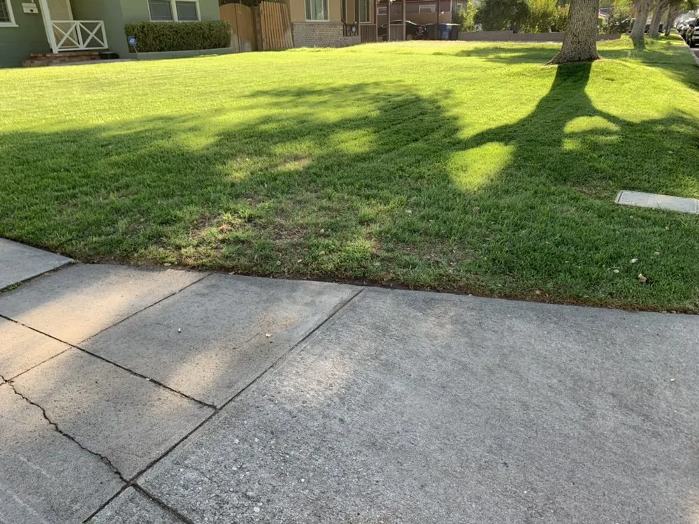 Affordable landscaping services with custom design in Highland, CA by Ramirez Landscaping & Service