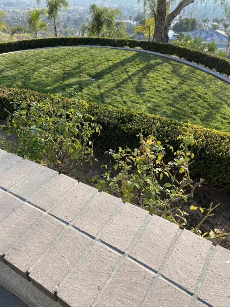 Professional garden landscaping in Highland, CA by Ramirez Landscaping & Service