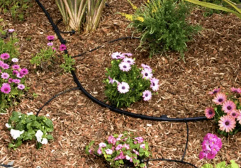 Top-rated landscape design for year-round maintenance across Highland, CA - Ramirez Landscaping & Service