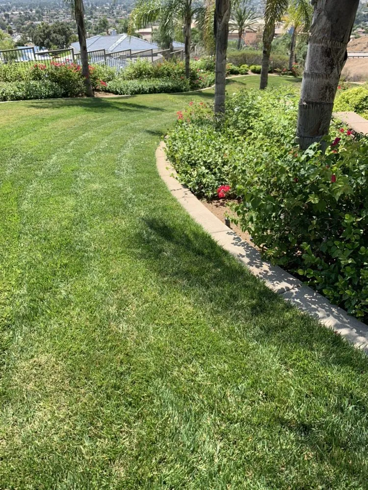 Local landscape design in Highland, CA by Ramirez Landscaping & Service