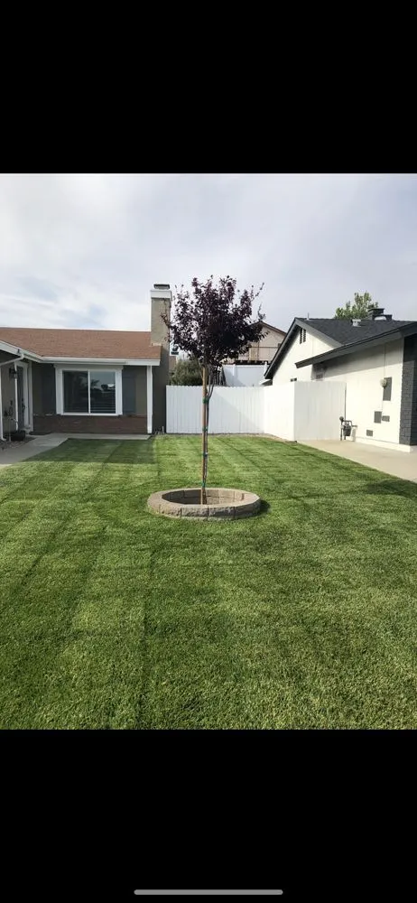 Affordable landscape installation for outdoor upgrades in Highland, CA by Ramirez Landscaping & Service