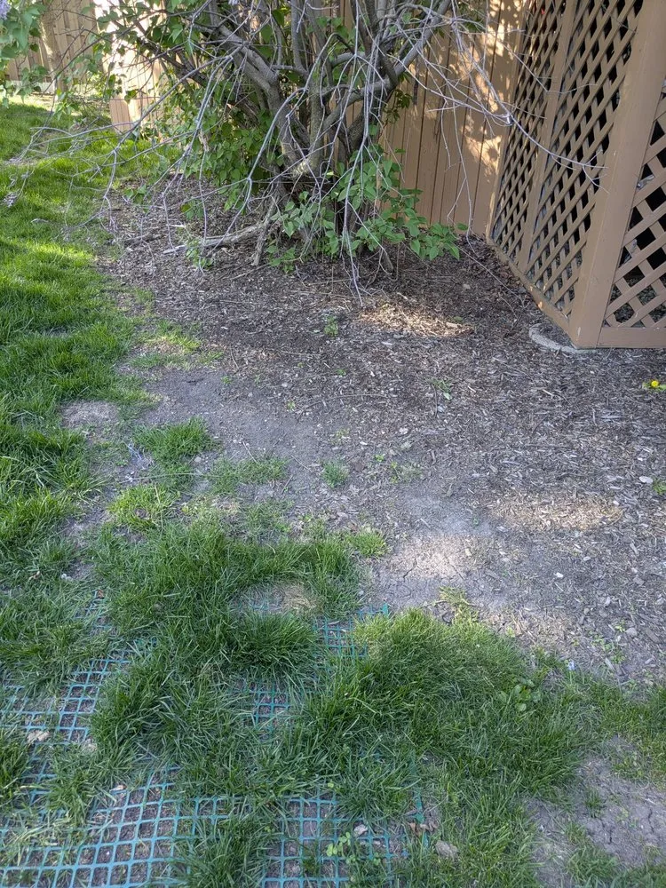 Affordable landscape installation in Arlington Heights, IL by Ramirez Landscaping