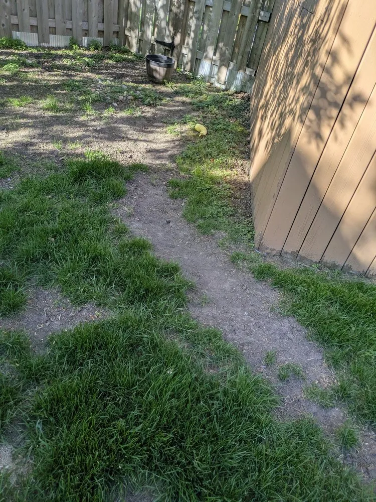 Reliable yard cleanup service in Arlington Heights, IL by Ramirez Landscaping