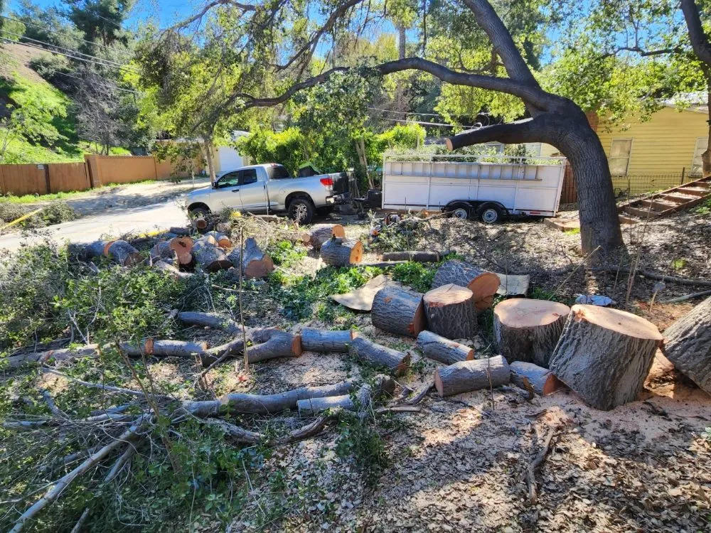 Professional landscaping services in Baldwin Park, CA by Ramirez Landscaping