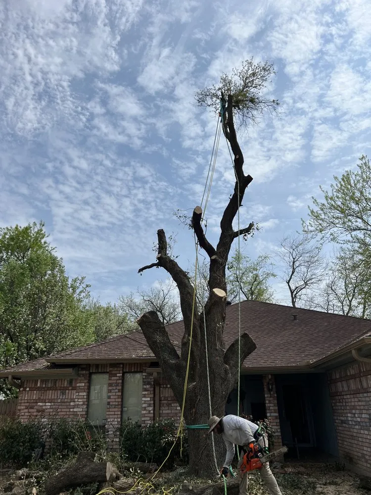 Expert garden landscaping experts serving Burleson, TX - Ramirez Landscaping