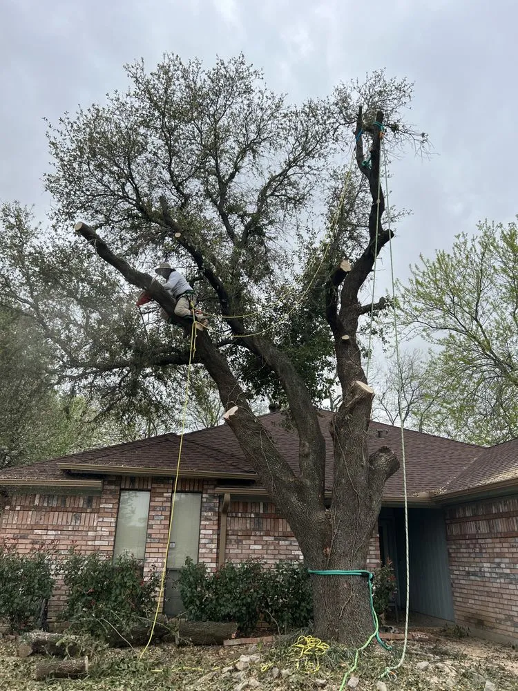 Expert outdoor landscaping experts serving Burleson, TX - Ramirez Landscaping