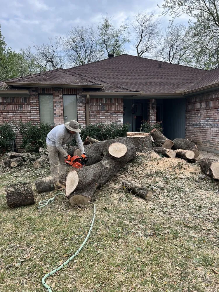 Top-rated landscaping services for year-round maintenance across Burleson, TX - Ramirez Landscaping