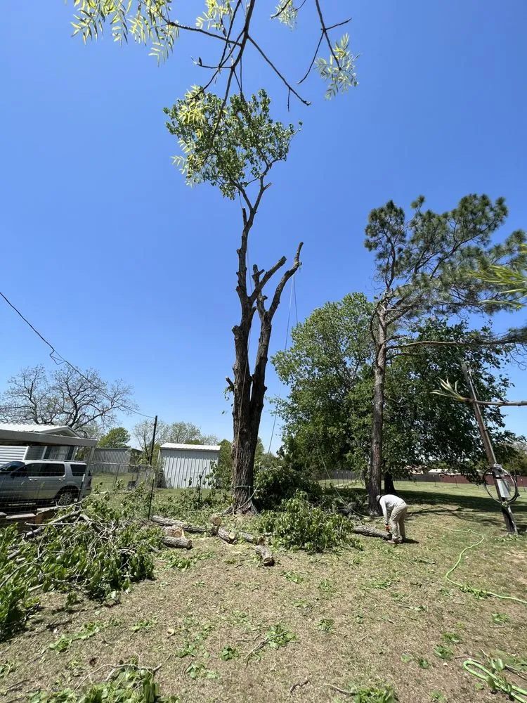 Top-rated yard maintenance for residential properties across Burleson, TX - Ramirez Landscaping