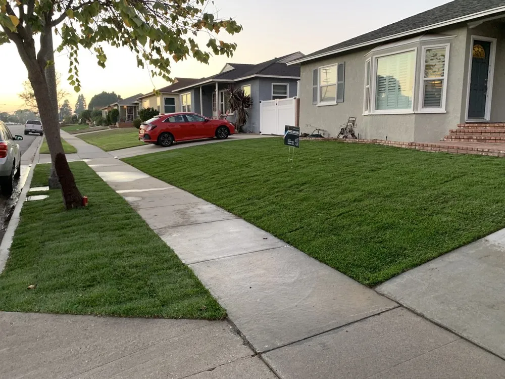 Professional yard cleanup service in Long Beach, CA - Ramirez Landscaping Design & Build