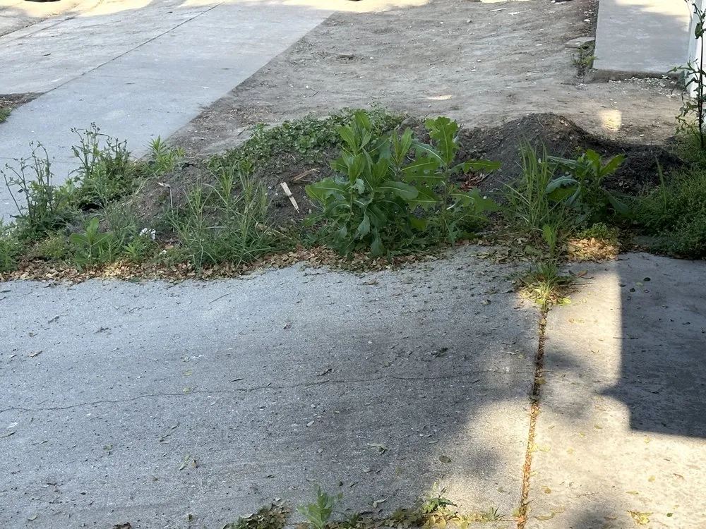 Local garden landscaping for beautiful yards in Long Beach, CA by Ramirez Landscaping Design & Build