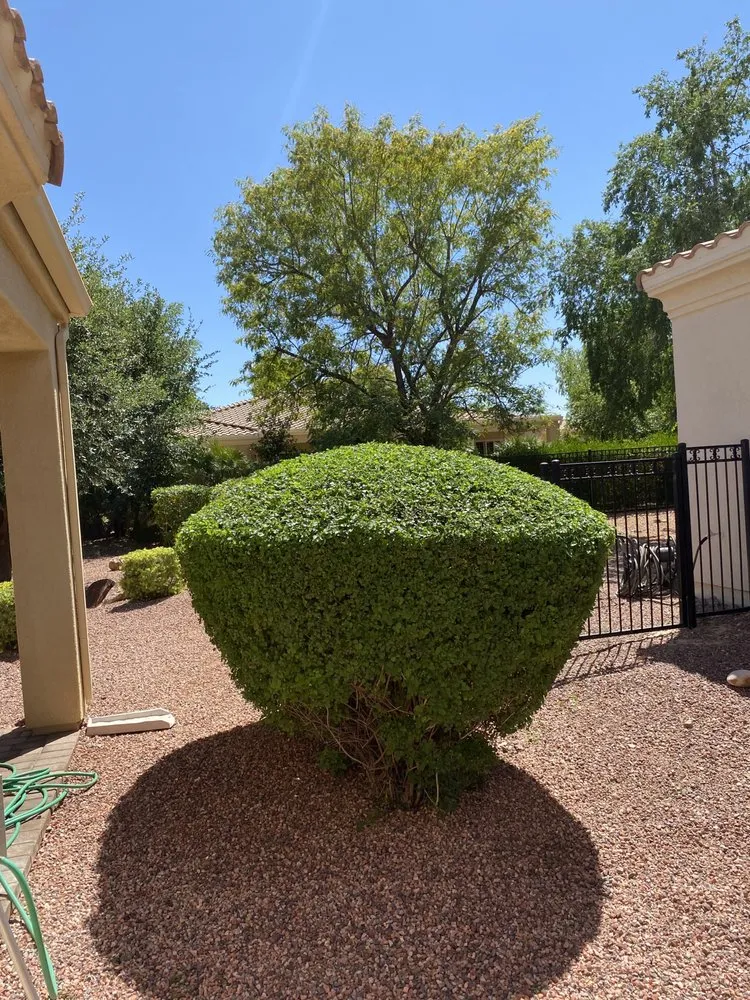 Affordable lawn care service for outdoor upgrades in El Mirage, AZ by Ramirez Landscaping