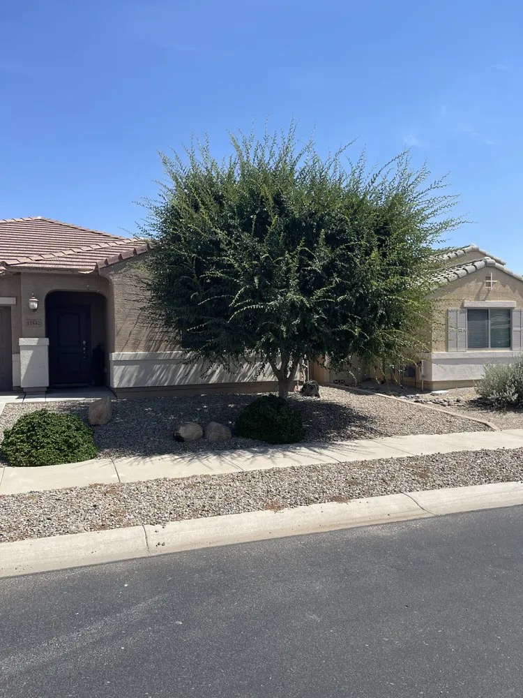 Affordable yard maintenance in El Mirage, AZ - Ramirez Landscaping