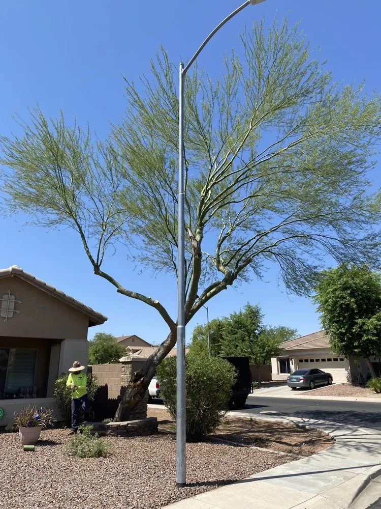 Affordable lawn mowing service experts serving El Mirage, AZ - Ramirez Landscaping