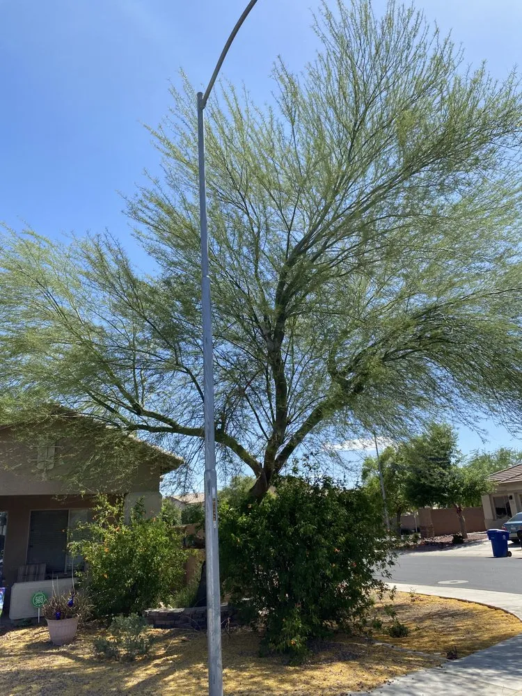 Professional lawn care service for homes across El Mirage, AZ - Ramirez Landscaping