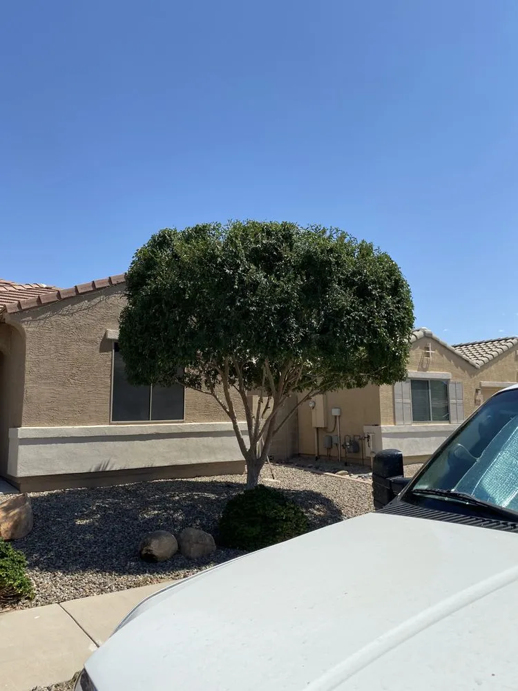 Affordable residential landscaping in El Mirage, AZ by Ramirez Landscaping